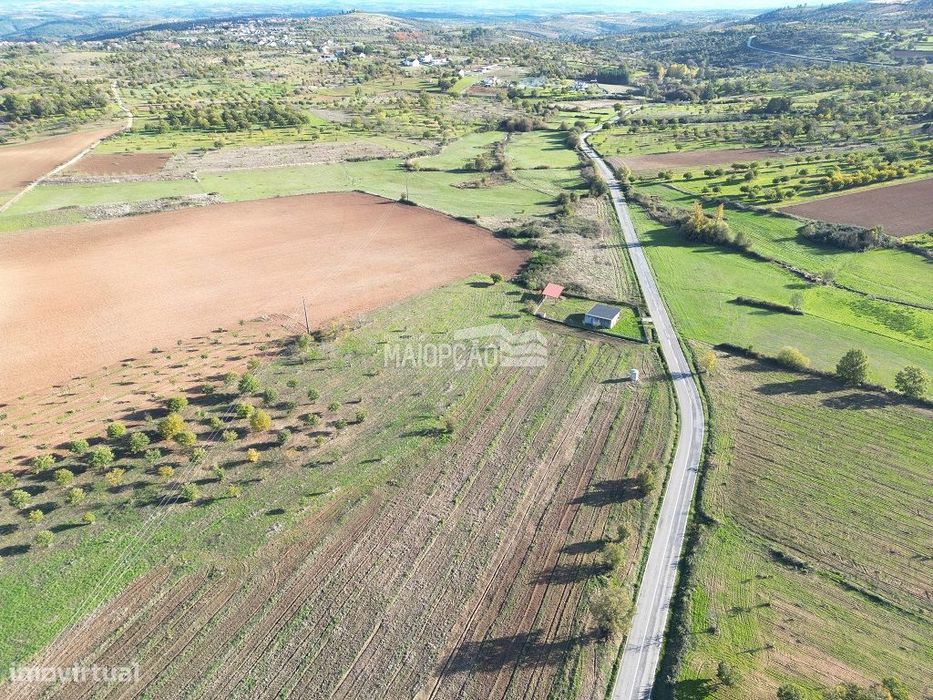 Propriedade C/Plantação de Nogueiras e Castanheiros