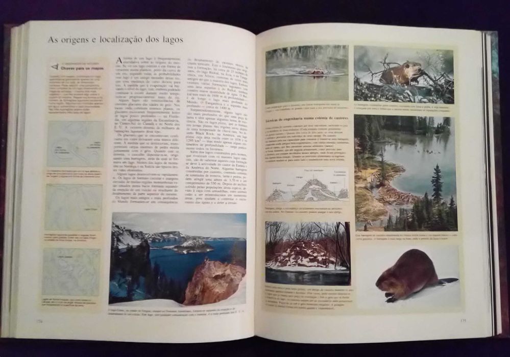 Ao Encontro da Natureza – Seleções do Reader’s Digest