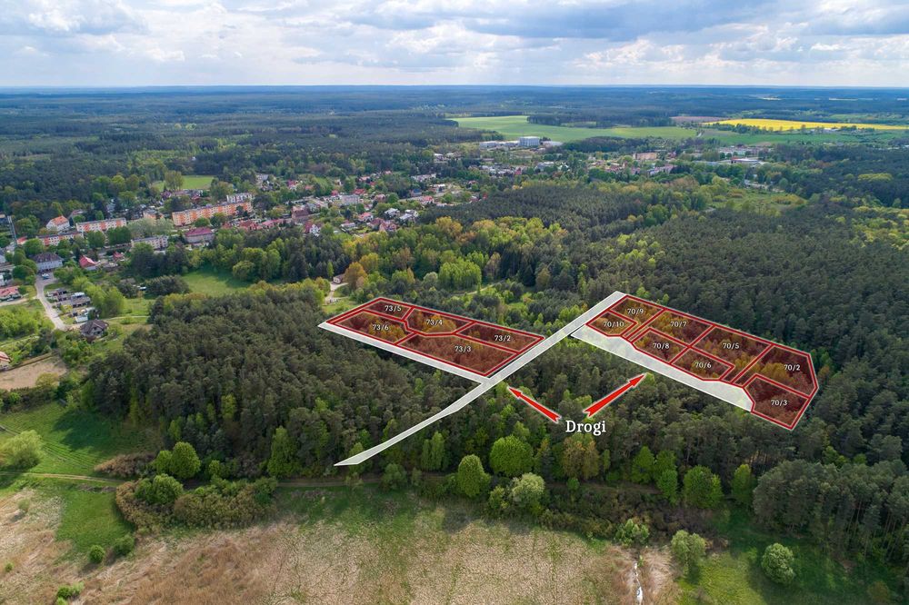 Torzym Młyńska Ostoja