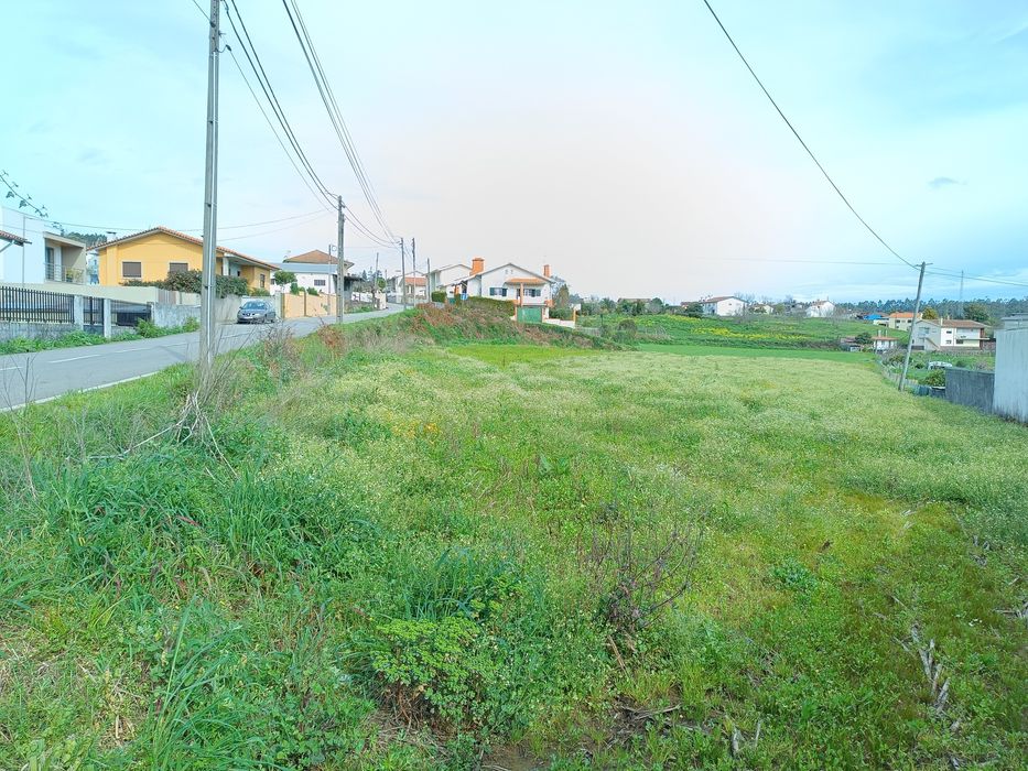 Terreno em Fornos, Sta Maria Feira c/ 80 metros de frente