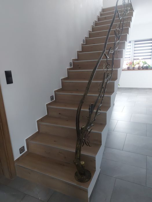 Tanie  remonty,Budowa domów,szybki czas realizacji.Dekarstwo.