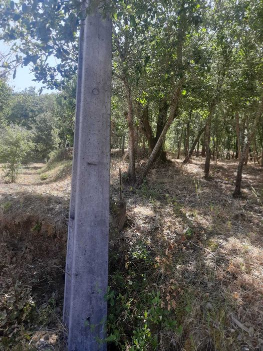 Terreno Rústico em Seiça (Ourém)