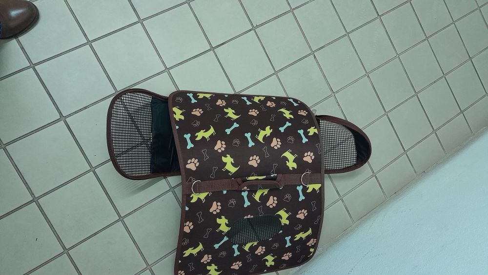 Caixa transportadora gato ou cão pequeno nova