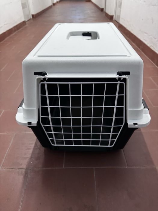 Caixa transporte Cao pequeno