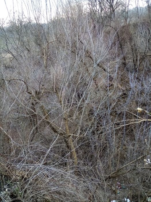 Приму ґрунт для засипки оврага Оплата гарантована