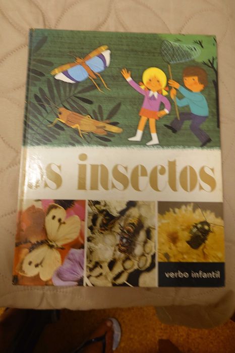 Livro “Os Insetos” Verbo Infantil