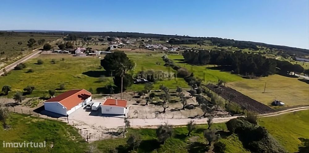 Oportunidade: Quinta Com 2 Moradias Renovadas Em Coruche - Terreno De