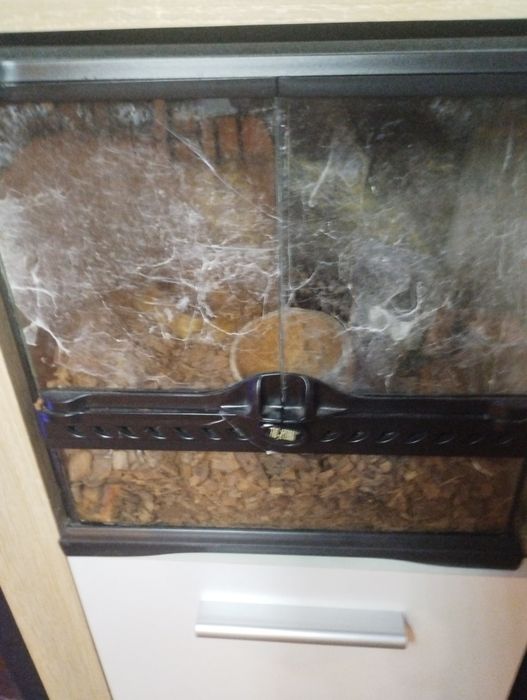 Тераріум скляний Exo Terra 30х30х30