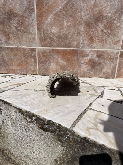 Cortiça para Terrário/Aquário - Mais informações dm
