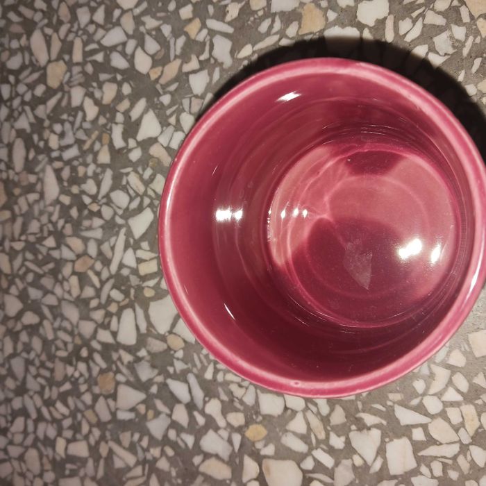 Świecznik, Doniczka, Osłonka, paszport roślin