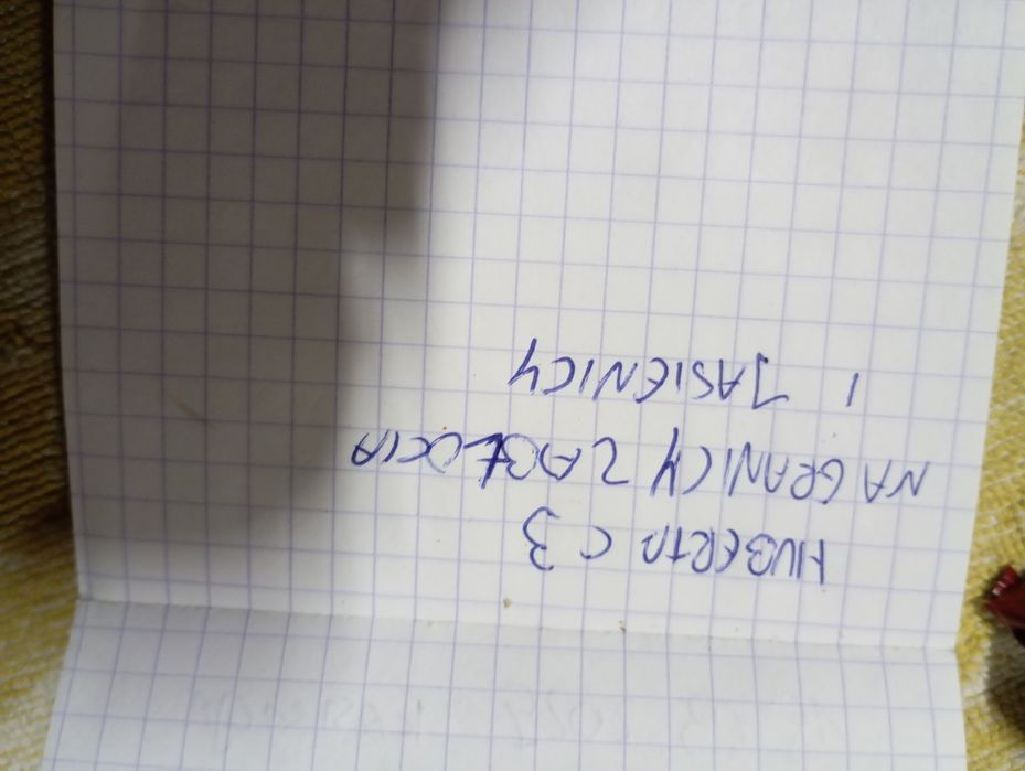 Zaginęły dwa kotki (brat i siostra)