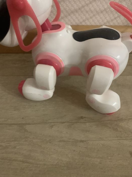 Собака на пульті інтерактивна