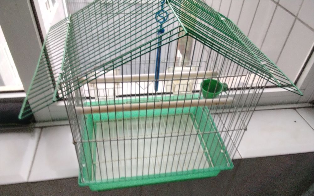 Gaiola usada mas estimada