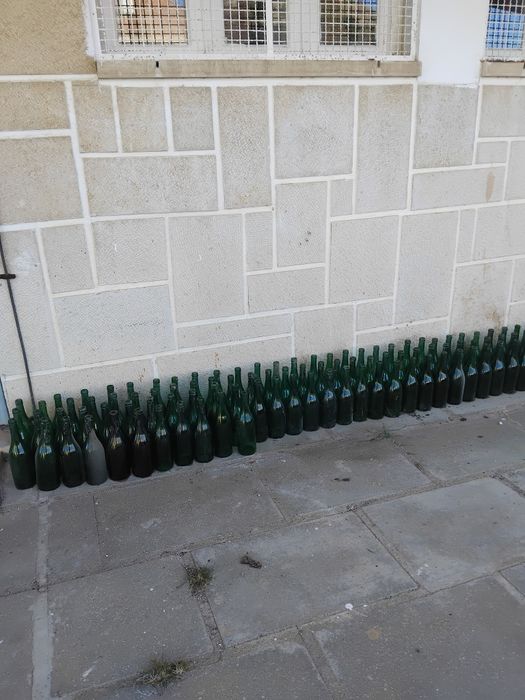 Wine Bottles498380327135498241