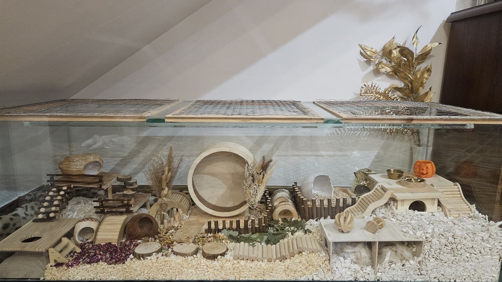 Chomikarium akwarium 150x50x50