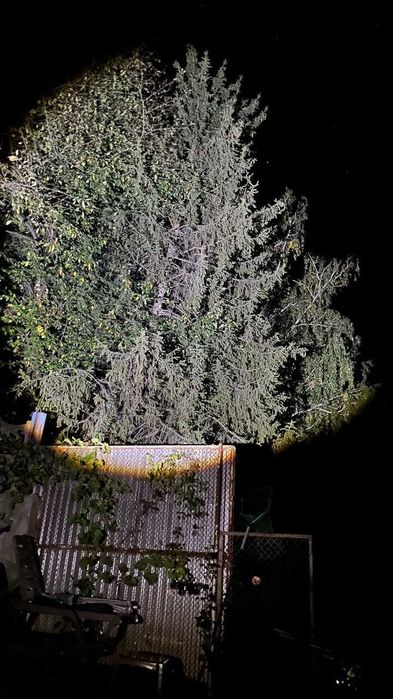 Ліхтарик налобний  датчик руху   ліхтар фонарик налобный