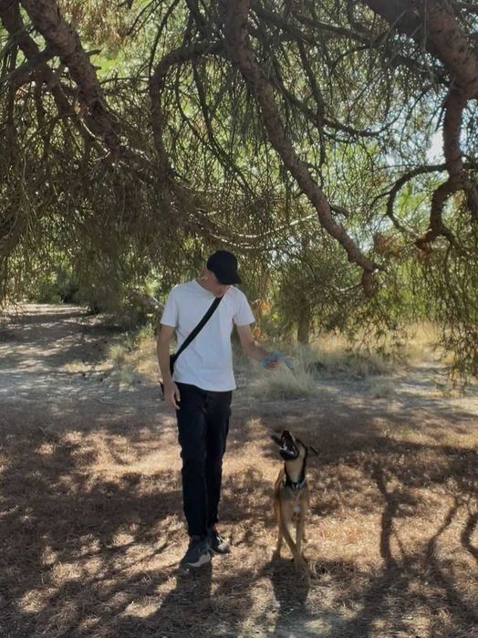 Treino Canino Balanceado em Lisboa e Setúbal – Treinador Alemão
