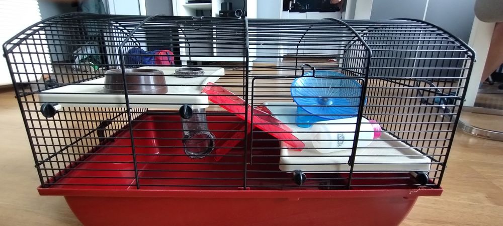 Klatka dla chomika  myszy szczura duży zestaw