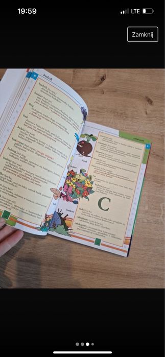 Słownik ortograficzny