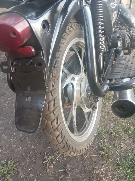 Альфа мустанг фіт 1