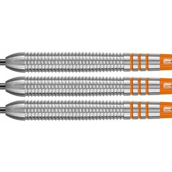 Lotki Target Raymond van Barneveld 80%, 23 gramy.