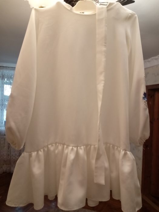 Плаття з вишивками на рукавах.