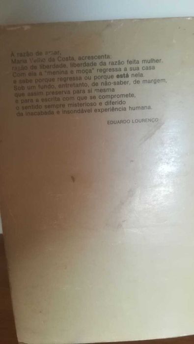 Casas Pardas - Maria Velho da Costa