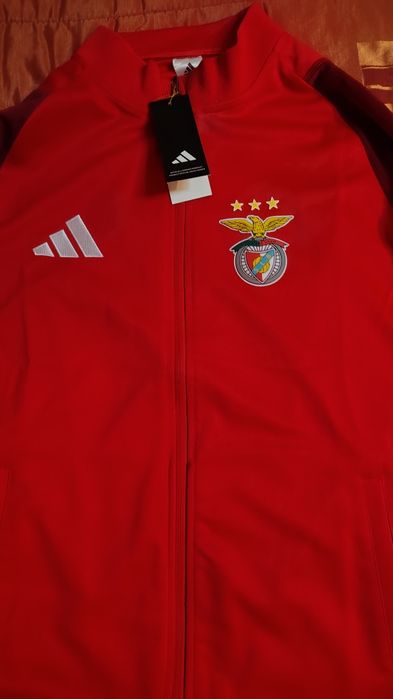 Fato de treino Benfica tamanho M