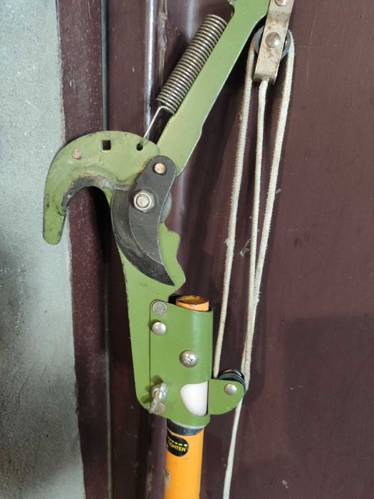 тички помидорни для города