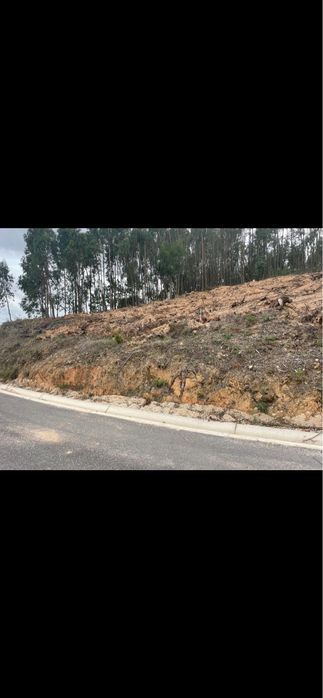 Terreno 1080m2 em perímetro urbano - Martinchel