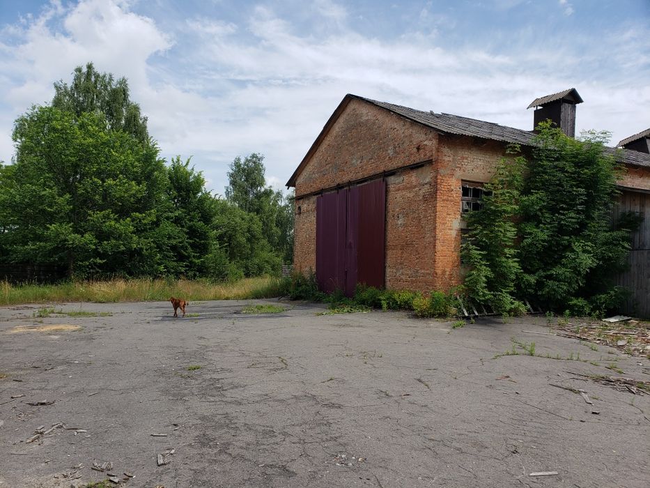 Продаж  виробниче приміщення  с. Серби