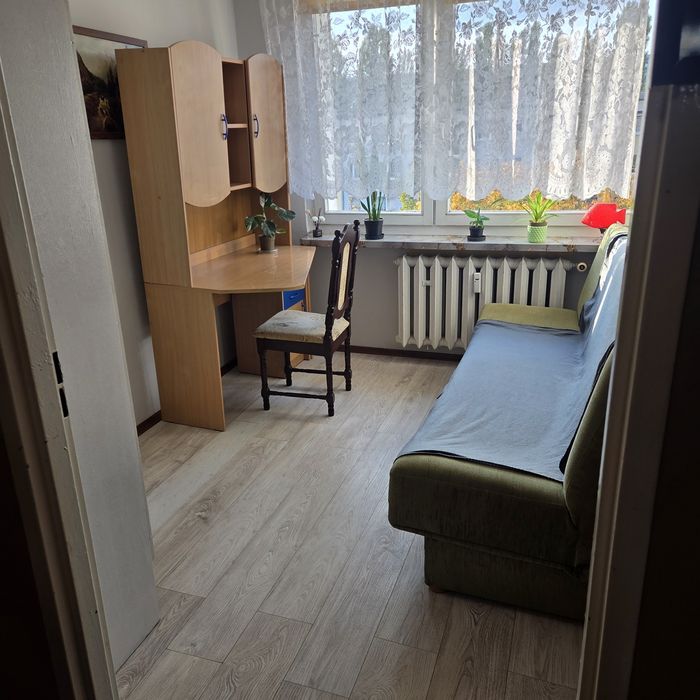 Pokój na wynajem