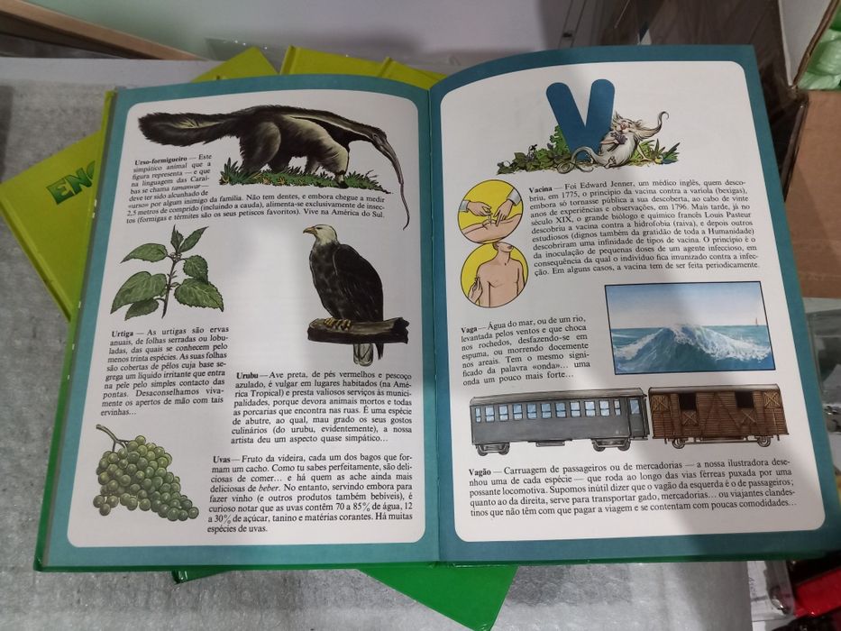 Enciclopédia infantil ilustrada