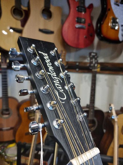 TANGLEWOOD TWBB SFCE 12 Black Bird 12-strunowa gitara elektroakustyczna