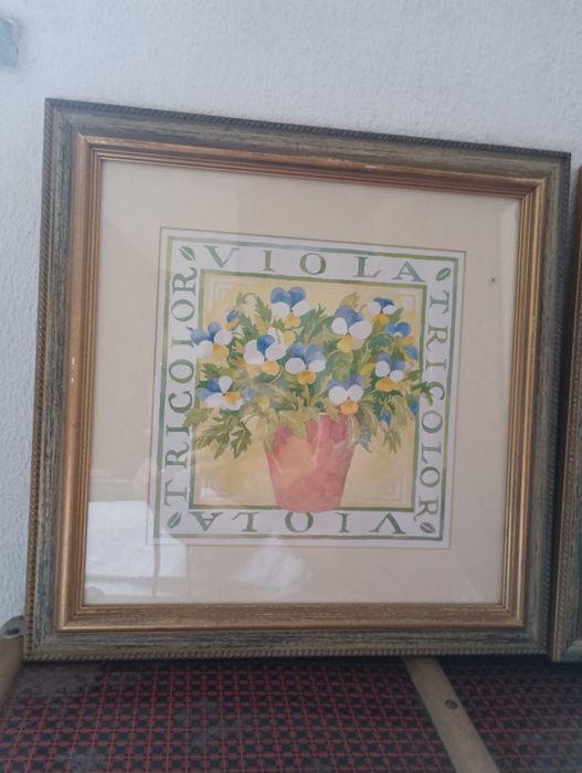 Dois quadros 40*4064740664440067121