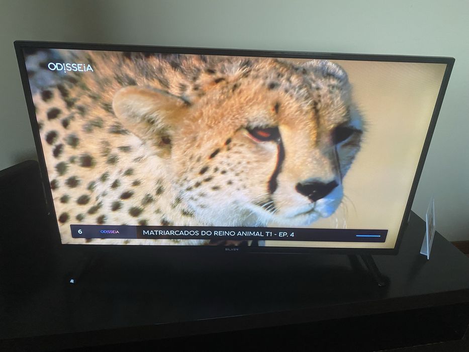 Smart tv 43 Silver
