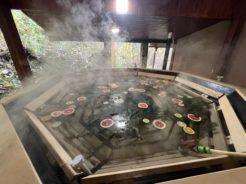 Здається будиночок. Баня і чан є на території