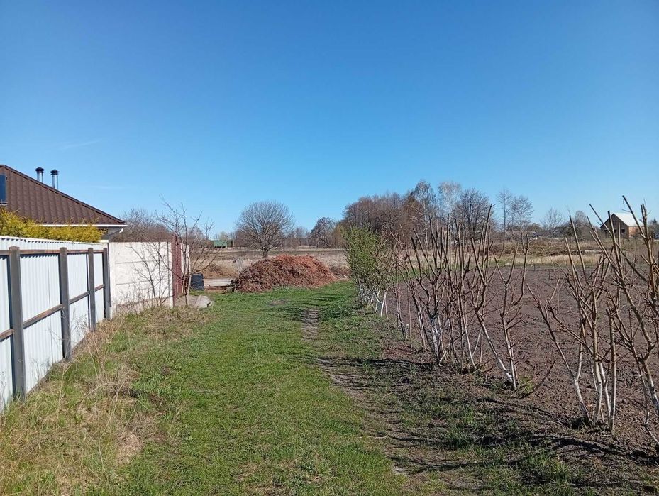 Ділянка у с. Свидівок