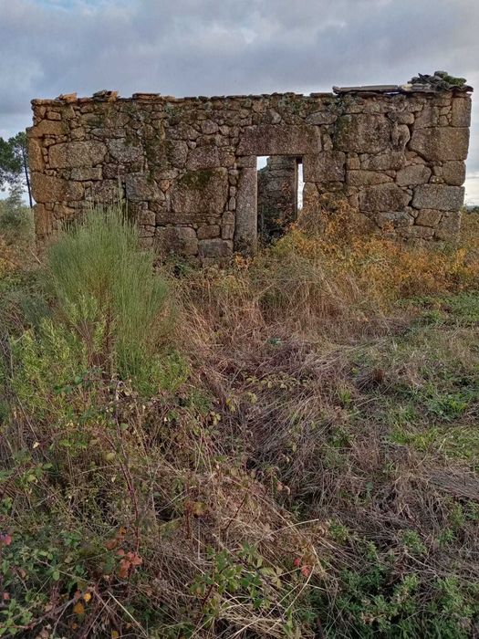 Vende-se Quintinha a Bom Preço