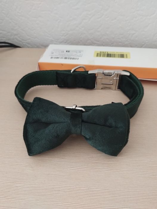 Elegancka obroża dla psa