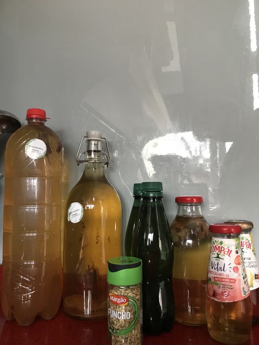 Kombucha caseira varios sabores