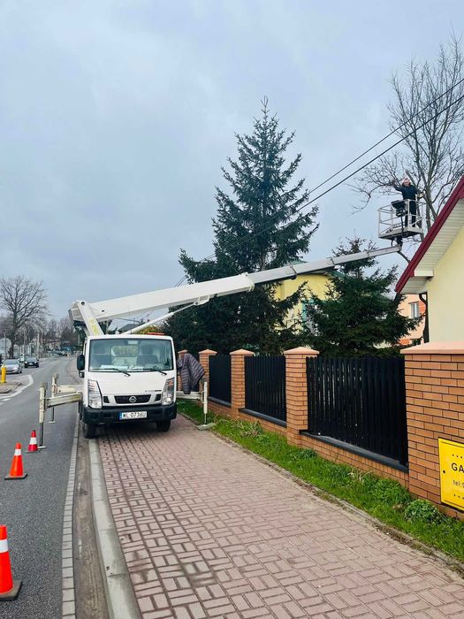 Wycinka drzew, frezowanie pni, rębak do gałęzi, podnośnik koszowy