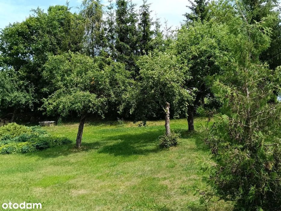 Gospodarstwo blisko lasu | 3,36 ha | Dom 125 m²