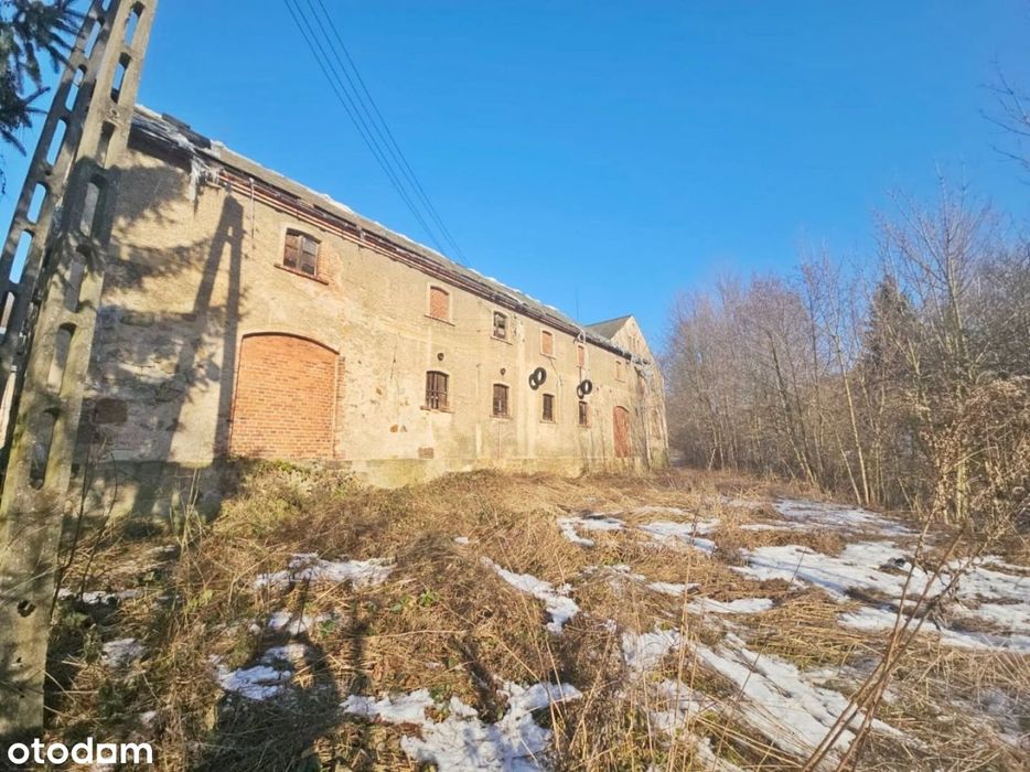 Budynek gospodarczy w Czernicy