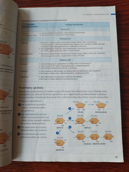 Biologia na czasie 1 zakres rozszerzony