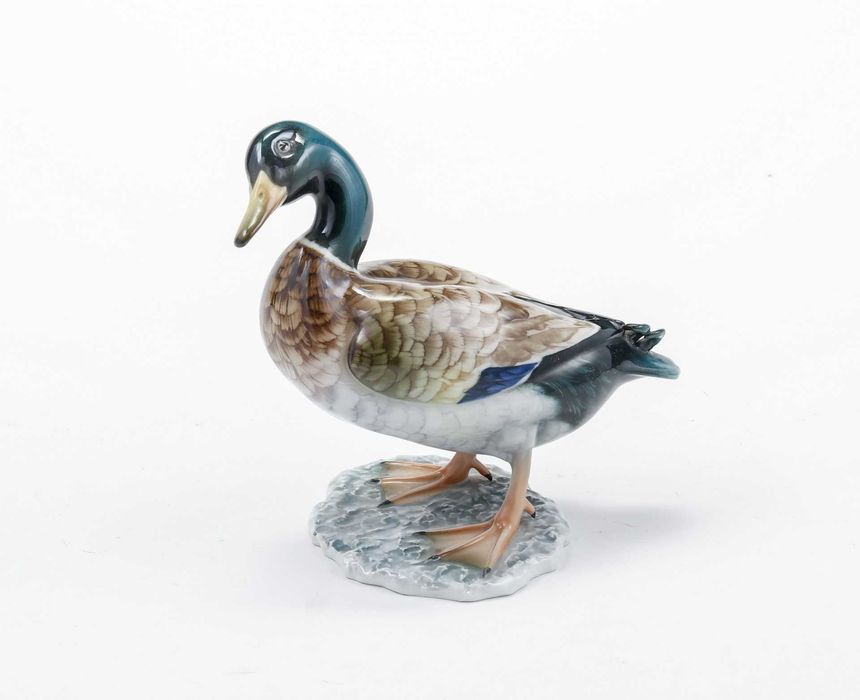 Patos da Vista Alegre