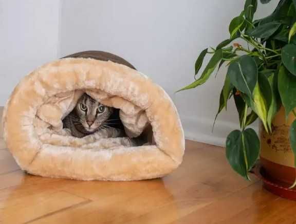 Домик для котят,щенков и др.домашних любимцев.