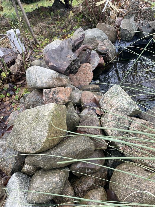 Kamienie polne za darmo