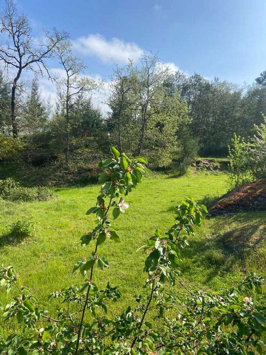 Terreno para venda junto à barragem de Bouça Cova
