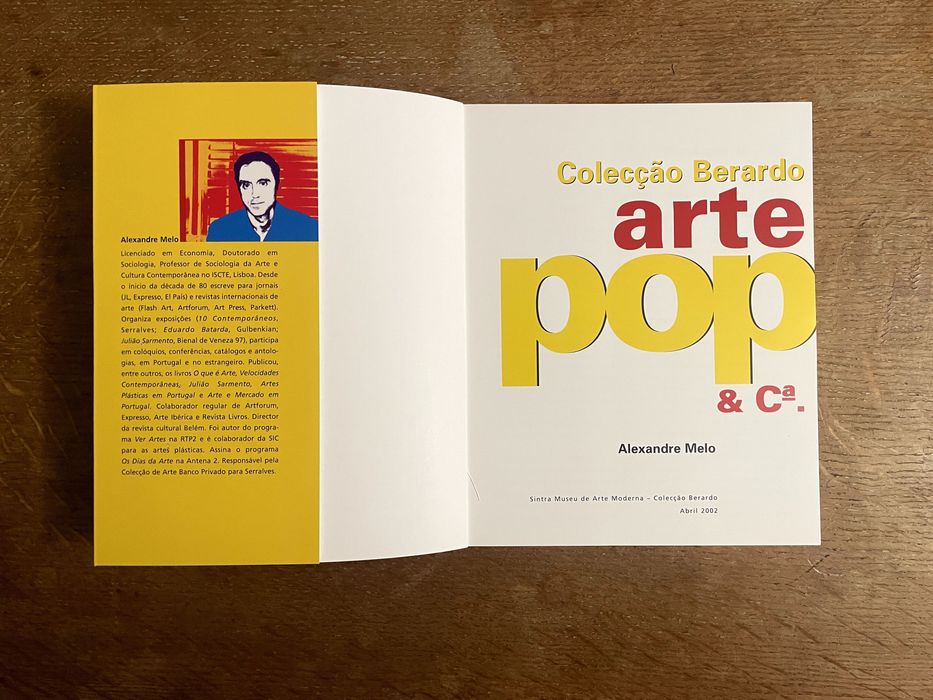 Coleção Berardo, Arte Pop & Cª. Alexandre Melo